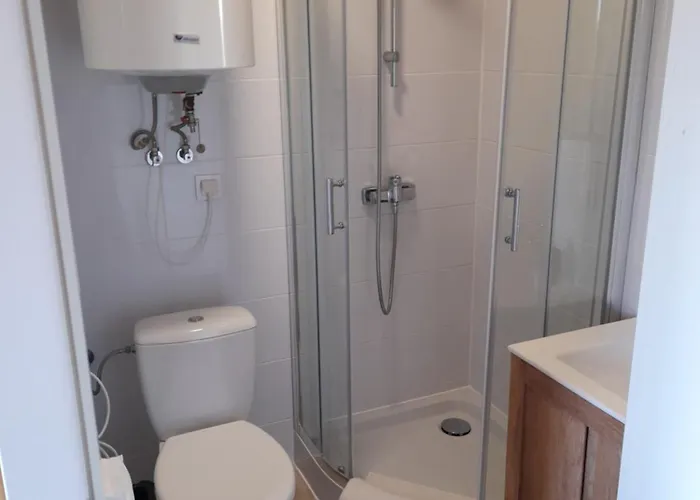 Apartment Pod Starym Klonem Przybrodzin